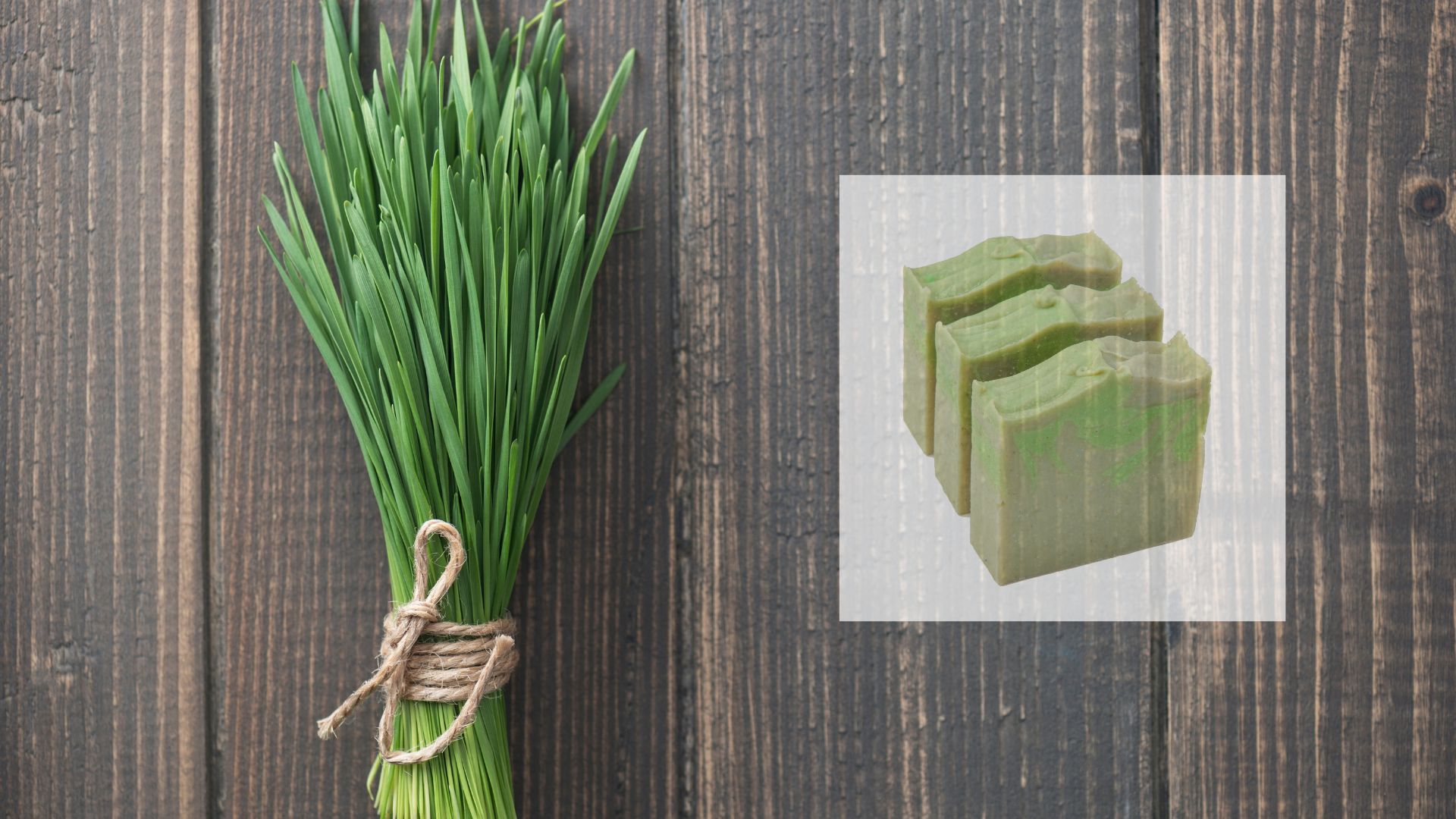 The Benefits of Wheatgrass Soap: Unlocking Nature’s Skincare Secret